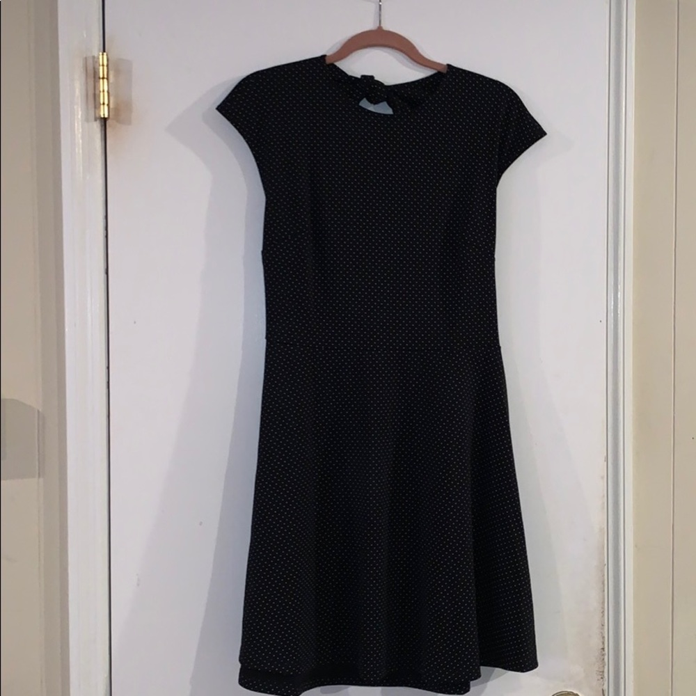 GAP NWT Ponte Bunny Tie Fit Flare Polka Dot Dress